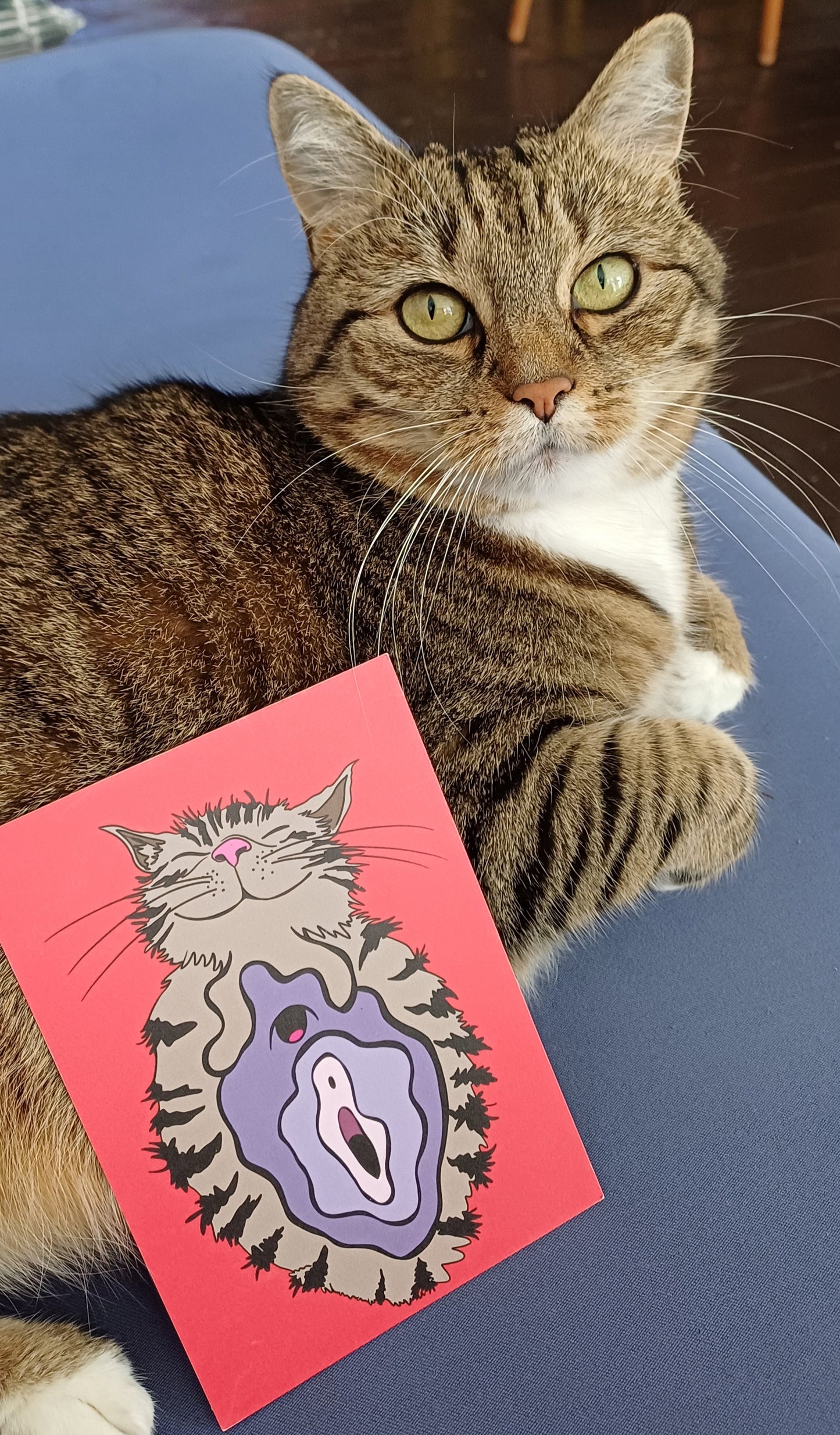 Pussycat card