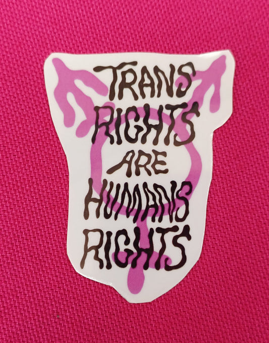 Trans Rights Temporary Tattoo