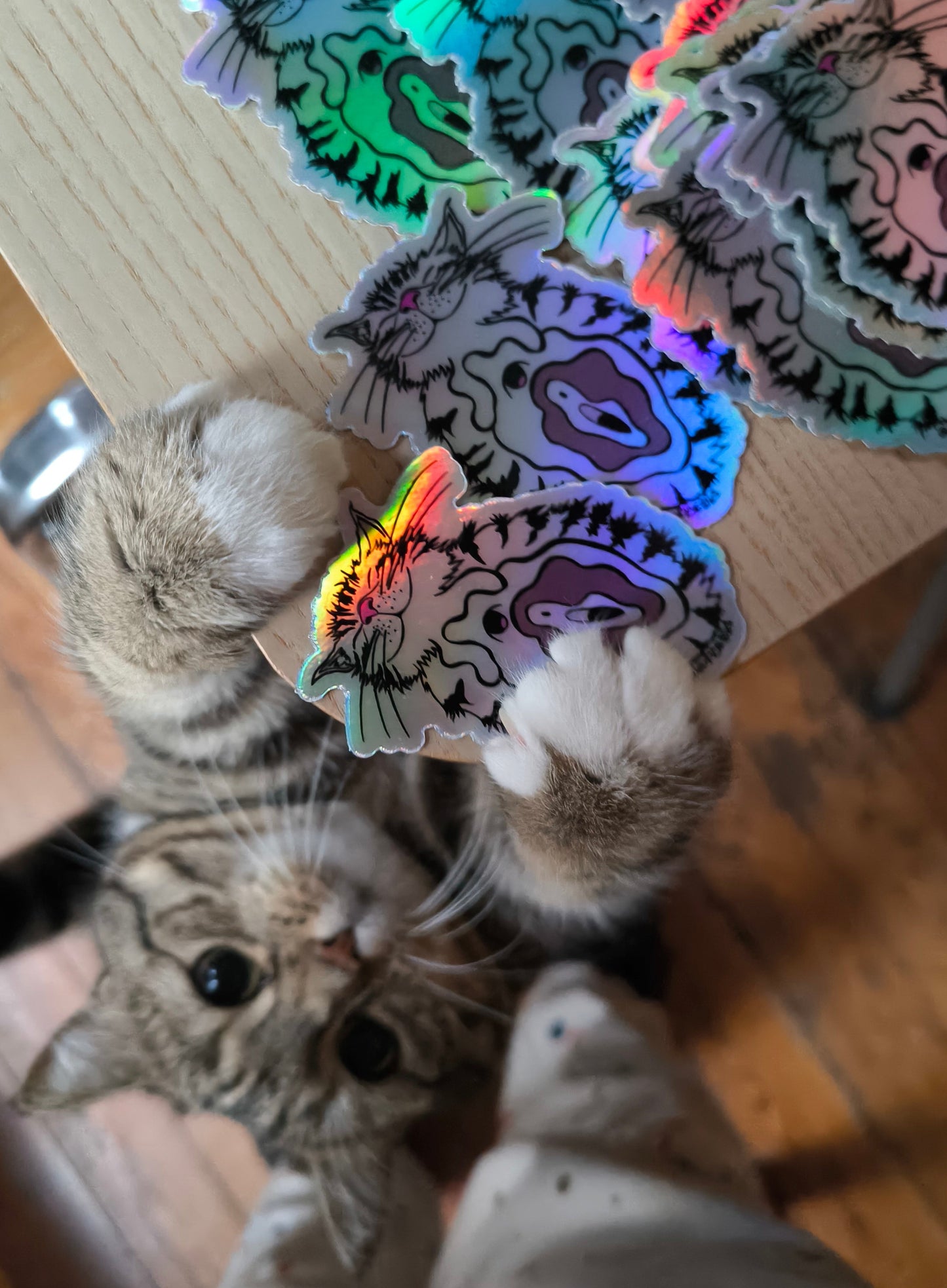 Tigra the Pussy HOLO STICKER