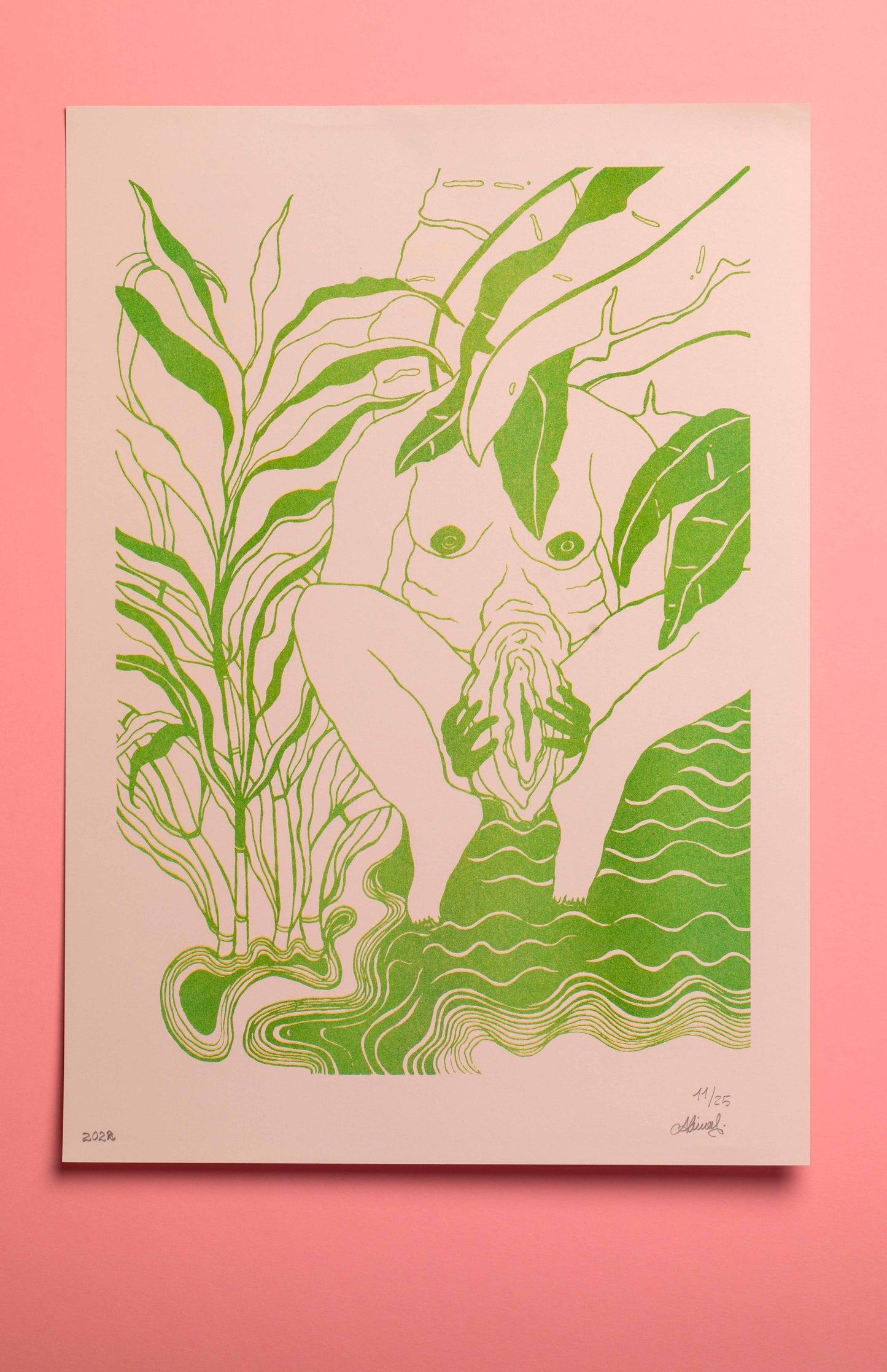 Vulva, Vulva  Risoprint