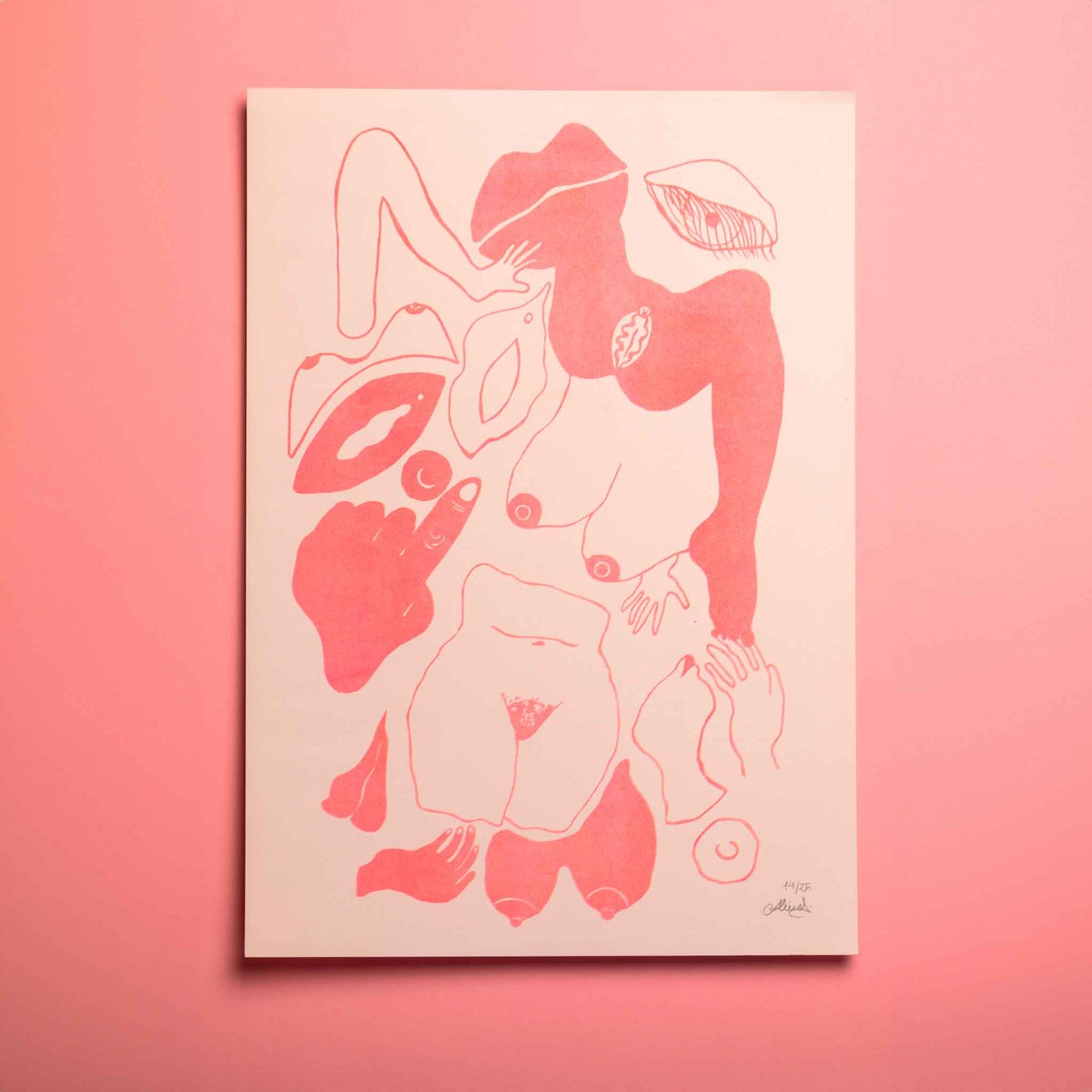 AFRODITE risoprint
