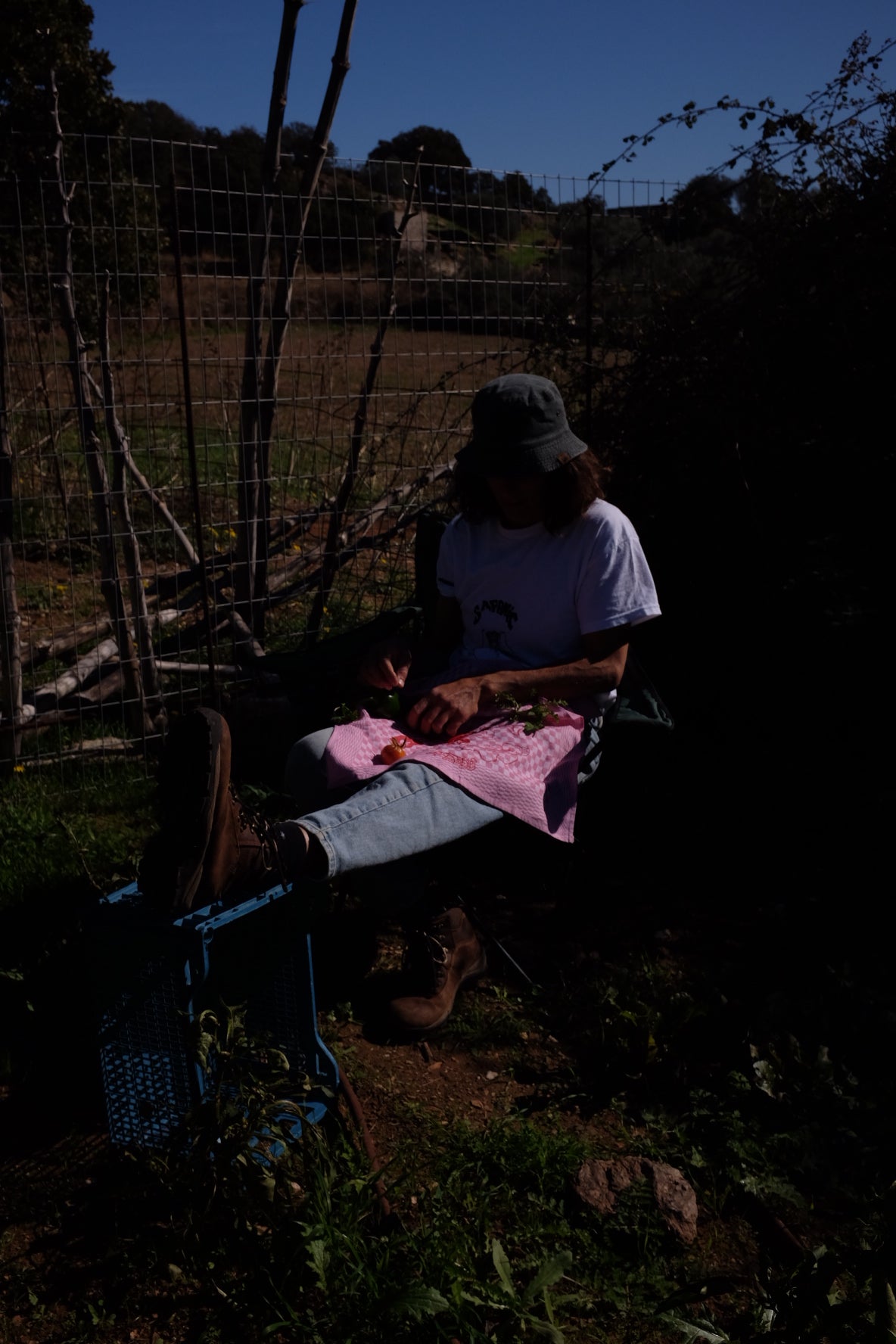 AltijdPoesjes TEA TOWEL