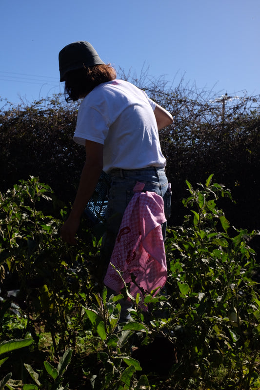 AltijdPoesjes TEA TOWEL