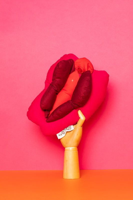 C*NT cushion - Ruby Vulva