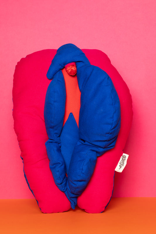 C*NT cushion - Azul