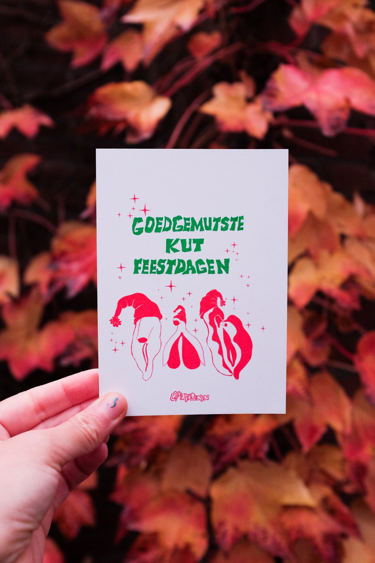 Goedgemutste Kut Feestdagen xmas card
